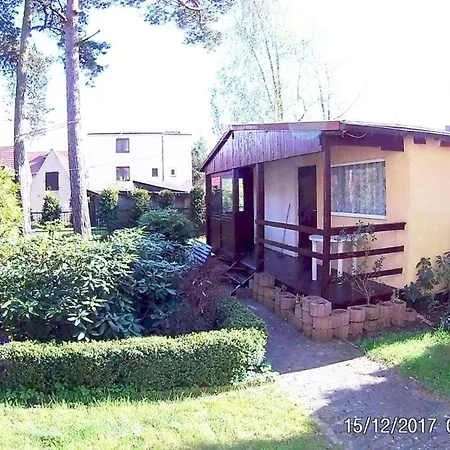 Czarnybursztyn Nr 1 *
